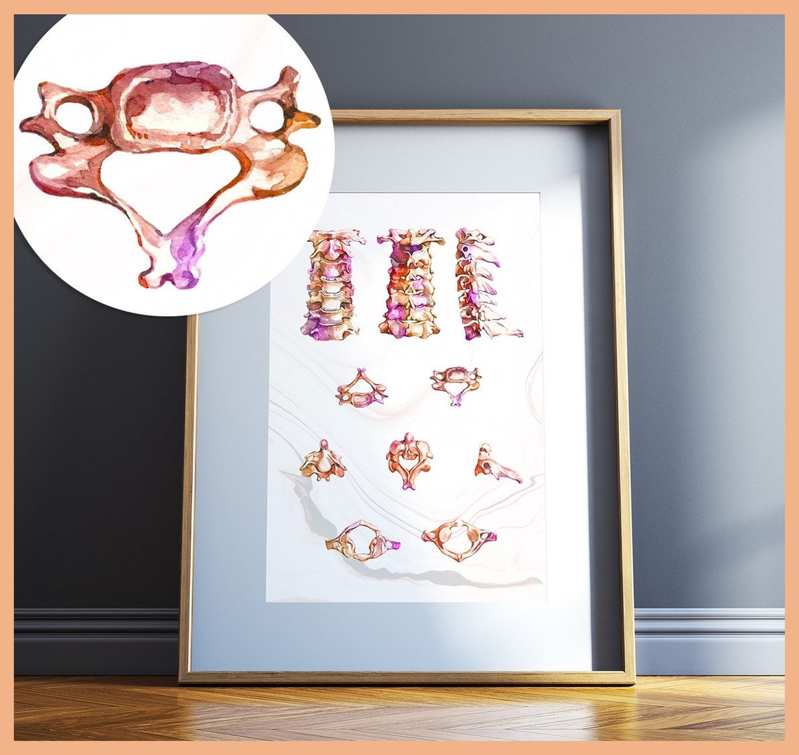 Chiropractic Office Wall Art Chiropractor Gifts Canada | Etsy