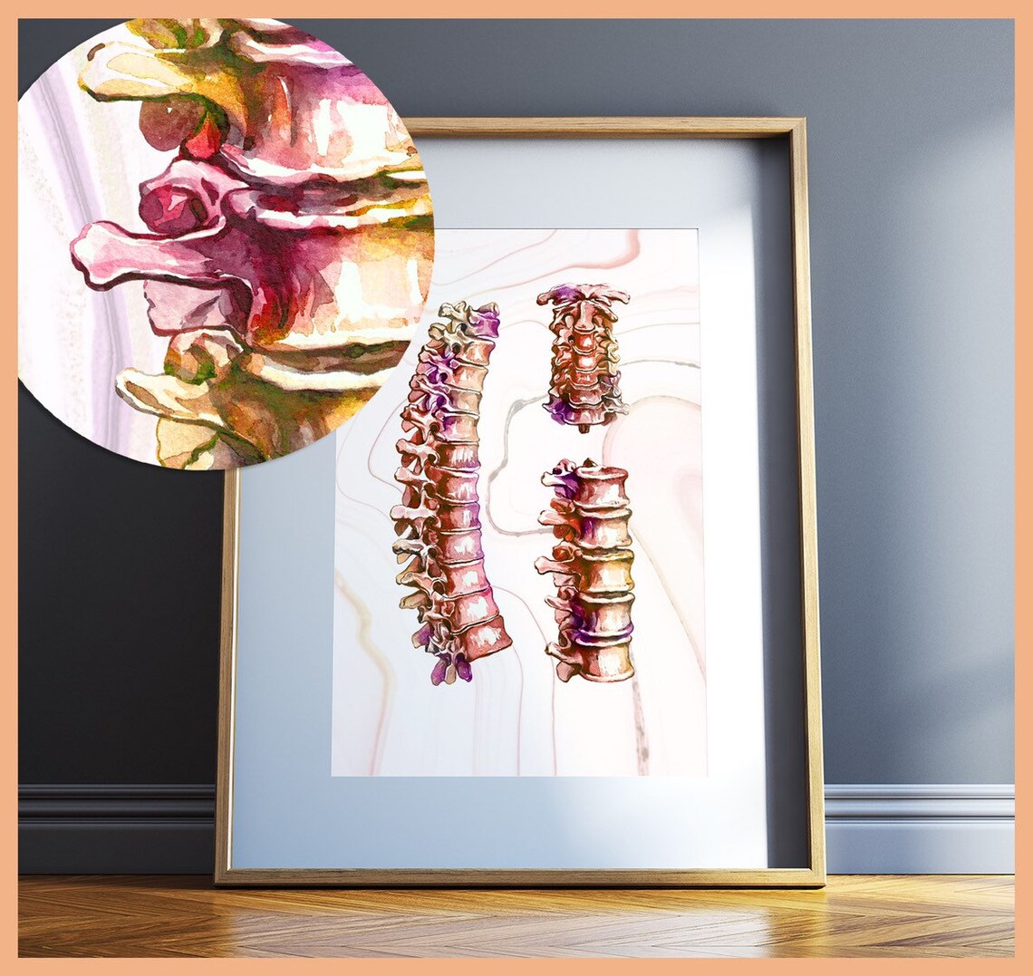 Chiropractic Office Wall Art Chiropractor Gifts Canada Etsy