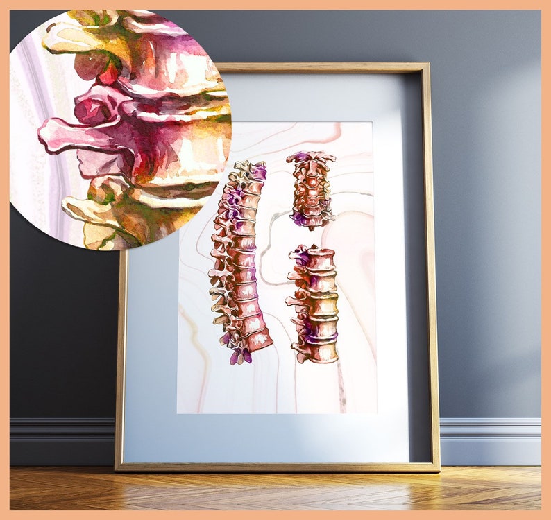 Chiropractic Office Wall Art Chiropractor Gifts Canada Etsy