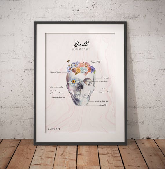 Skull Skull Art Skull Decor Flowery Skull Human Anatomy Etsy