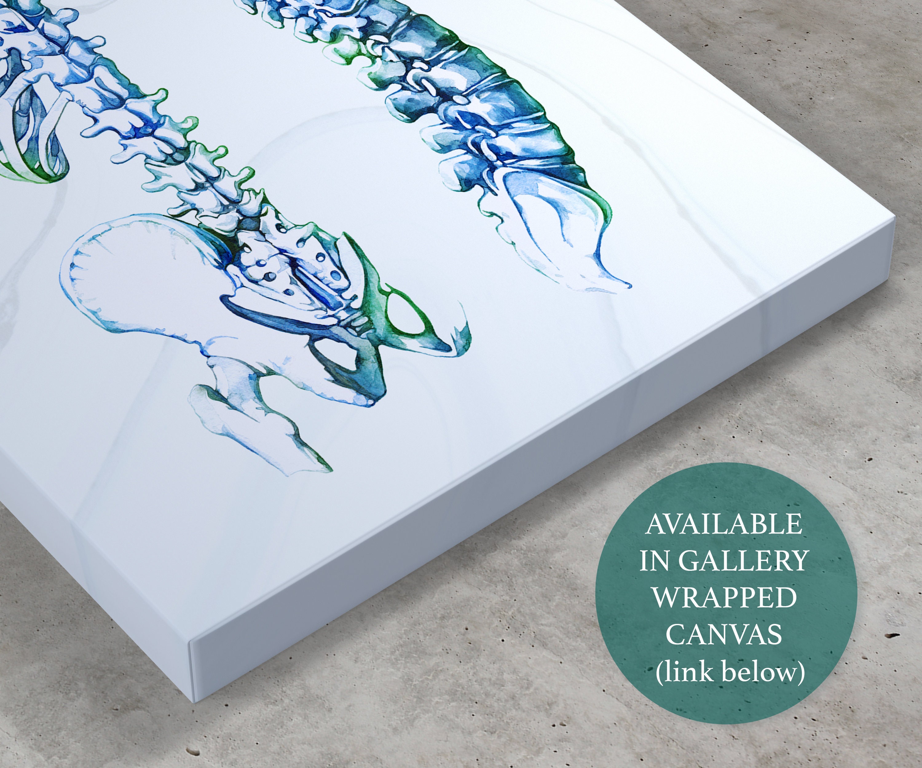 Chiropractic Art Poster Wall Art Chiropractic Gifts Spine Art Etsy Australia