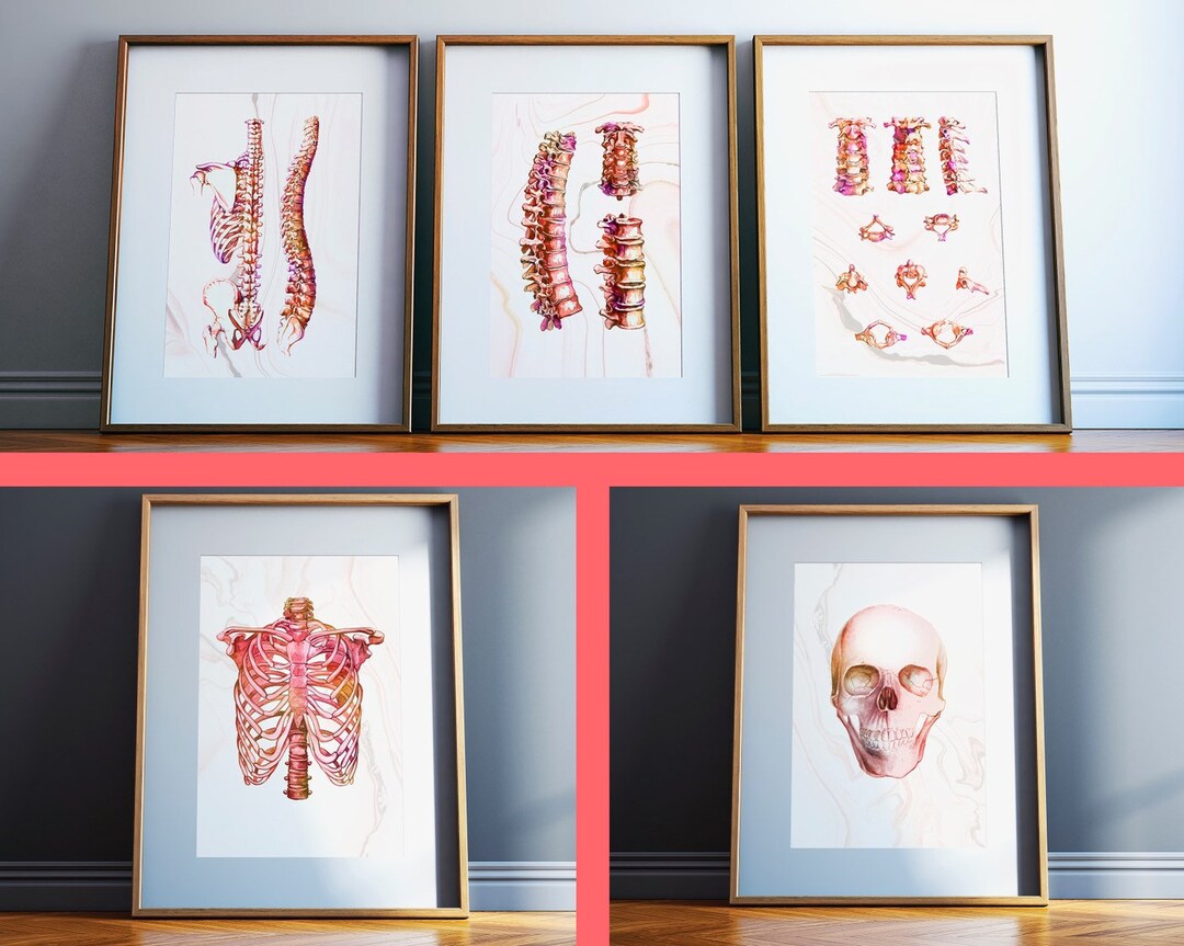 Chiropractic Office Wall Art Chiropractor Gifts Canada Chiropractic