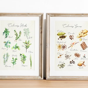 Watercolor Herbs Print Set of 2 Spices Poster Wall Art Cooking Gifts for Women Culinary Gifts Kitchen Art Set Yellow Dining Room Art