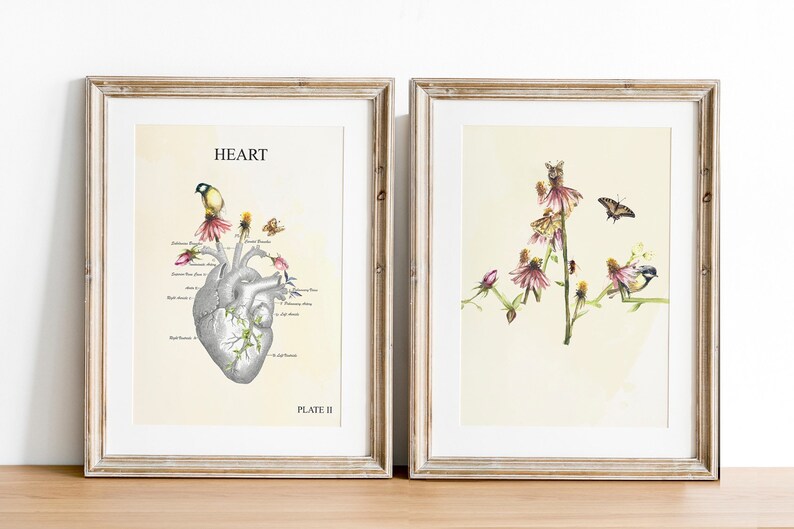 Anatomy Art Set Anatomical Heart Gift Set Heartbeat Gifts Etsy