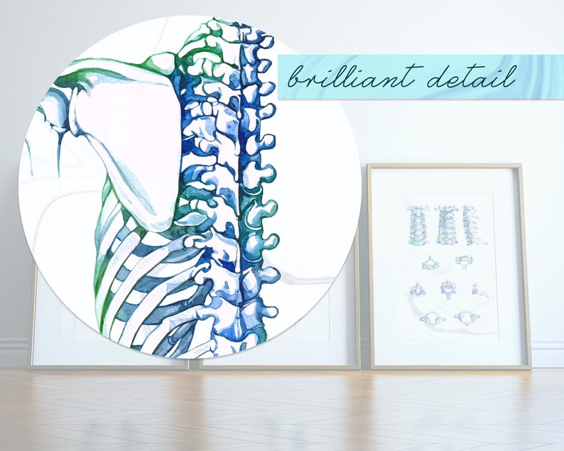 Chiropractic Posters Gifts for Chiropractors Ortho Art Etsy