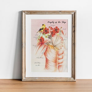 Muscles of the Torso Print Poster Torso Muscles Art Muscular Anatomy Massage Therapy Gifts Massage Therapy Decor massage therapy business