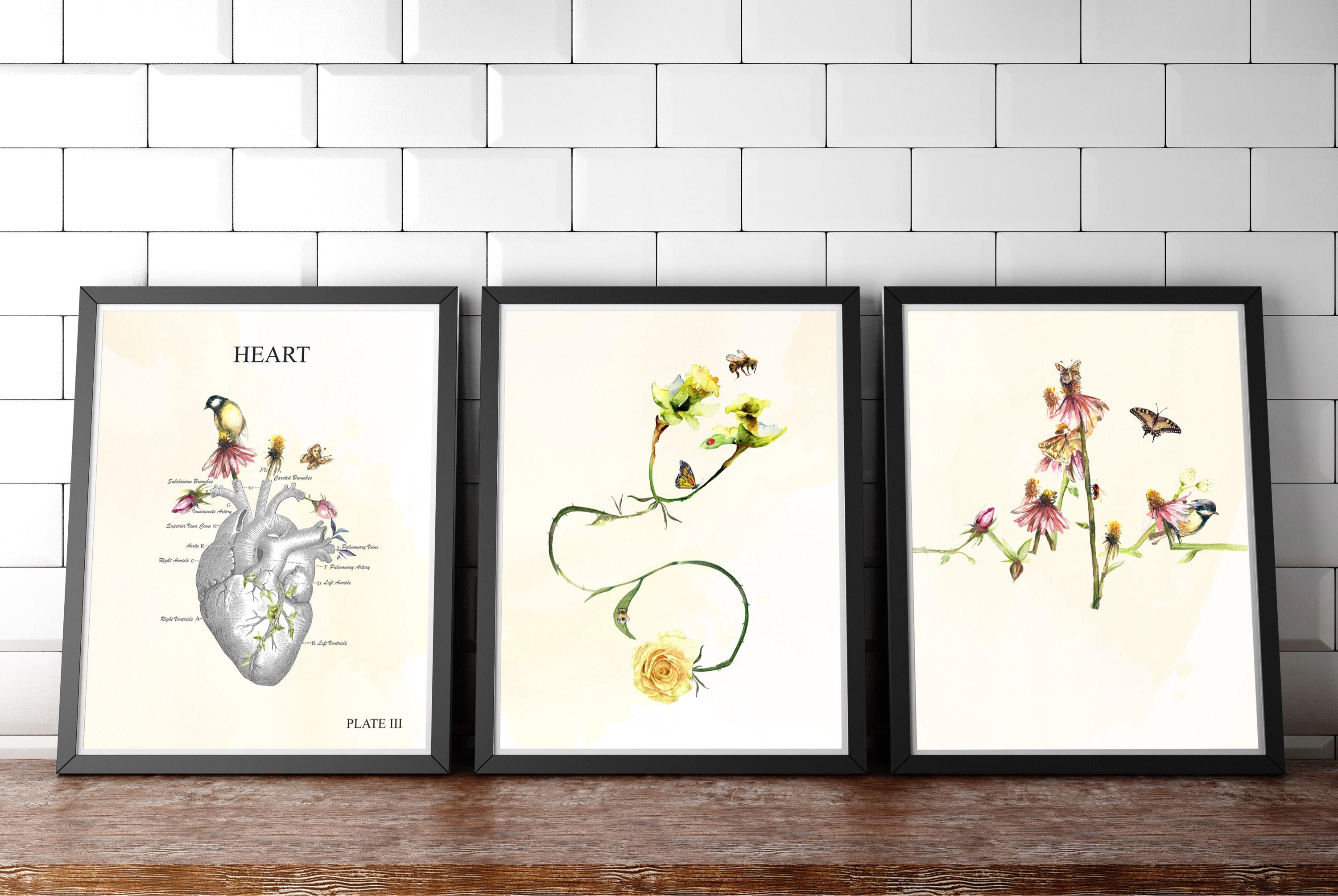 Medical Student Gift Anatomy Art Anatomy Gift Anatomy Etsy