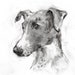 see more listings in the Animal and Pet Portraits section