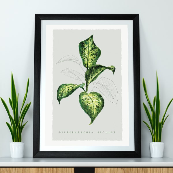 Botanische Plant Art Print - Domme stok 'Dieffenbachia'