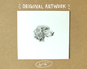 Mini Original Charcoal and Graphite Drawing: 'Arrow' the Springer Spaniel, Dog Pet Portrait Drawing (6x6")
