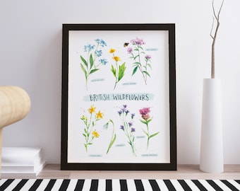 Watercolour British Wildflower Botanical Art Print Poster