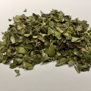 Organic Uva Ursi Leaves Dry Herb 1oz  (Arctostaphylos uva ursi)