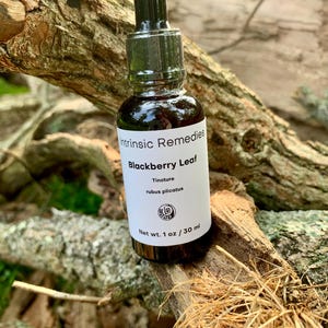 Organic Blackberry Tincture (rubs plicatus)