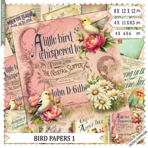 Papeles de aves, vintage, papel, papel para manualidades, papel digital, papel para scrapbooking, descarga instantánea, papel para diario, papel para decoupage
