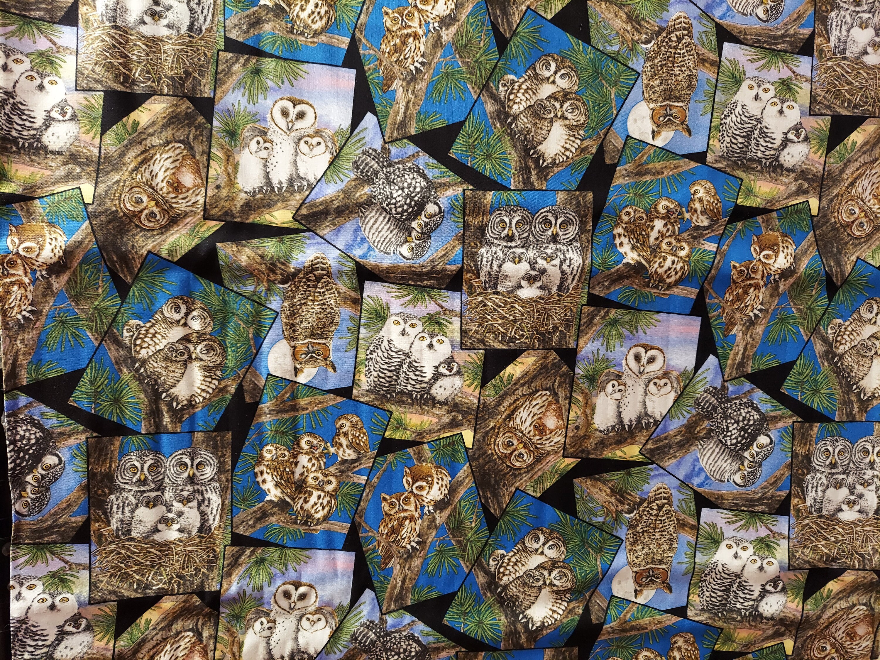Brand New Owl Print Fabric 