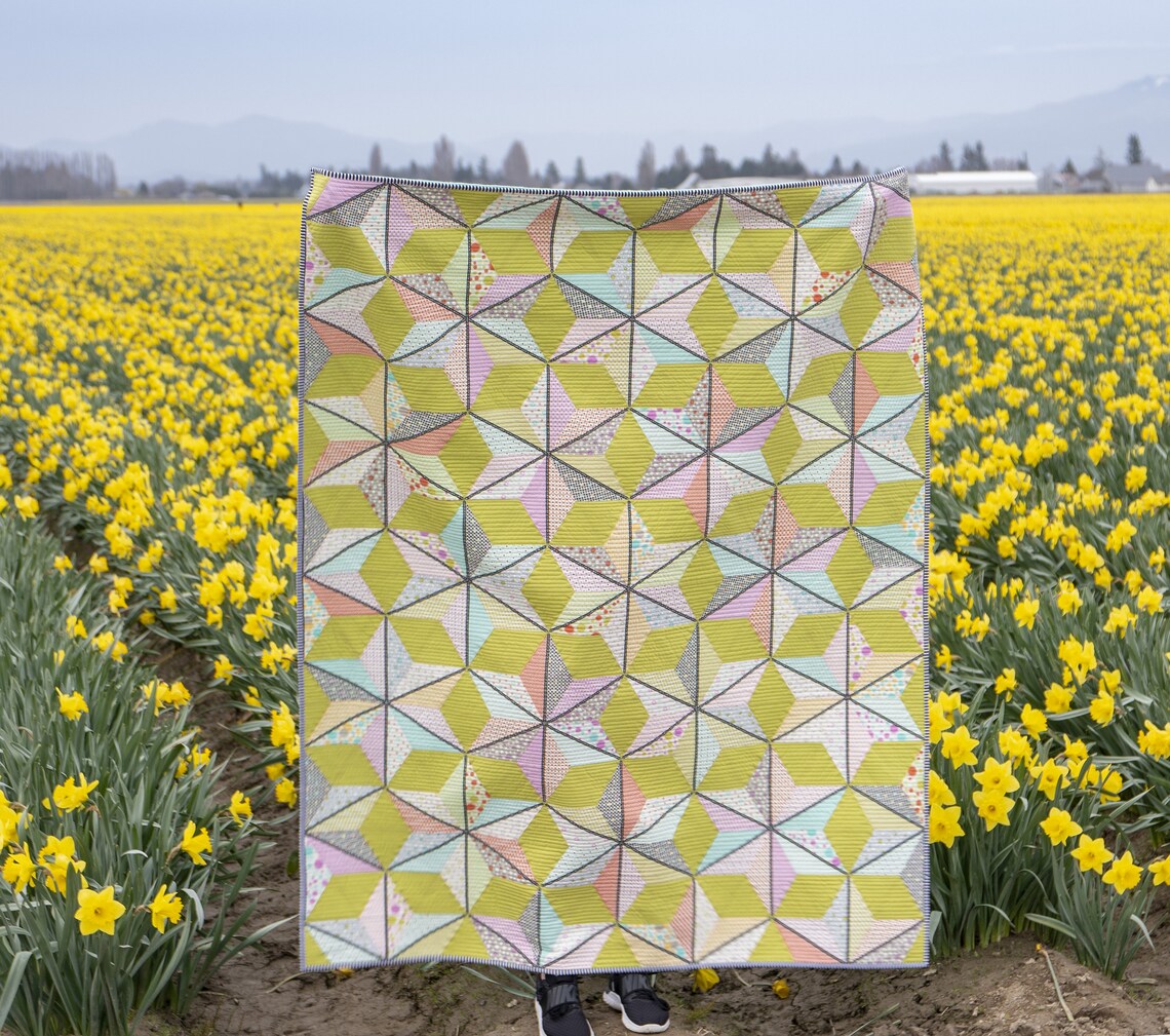 Lollipops and Licorice Quilt Pattern From Krista Moser the Etsy