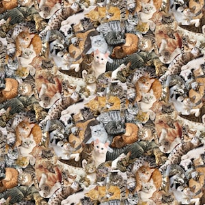 Cuddling Cats Packed All Over On Woven Cotton Fabric Priced By The HALF Yard From Timeless Treasures NEW, Please See The Description!