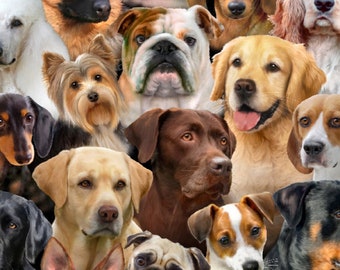 Packed Dogs Of Different Breeds All Over On Black Cotton Fabric, Priced By The HALF Yard, From Elizabeth's Studio NEW