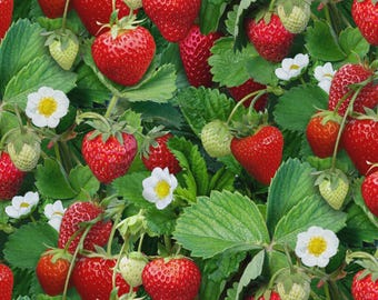 Strawberries Berry Good Collection On Woven Cotton Fabric, From Elizabeths Studio Priced By The HALF Yard NEW, See Description For More Info