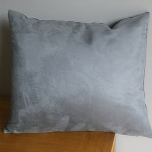 May include: A soft, gray throw pillow with a subtle textured surface. The pillow has a dark blue border.