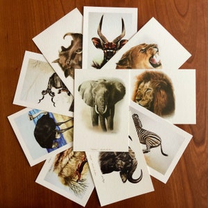 Collection AFRIKA : 10 cartes de voeux sur le thème animalier - tirages d'art