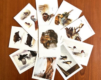 Collection WILD : 10 cartes de voeux sur le thème animalier - tirages d’art