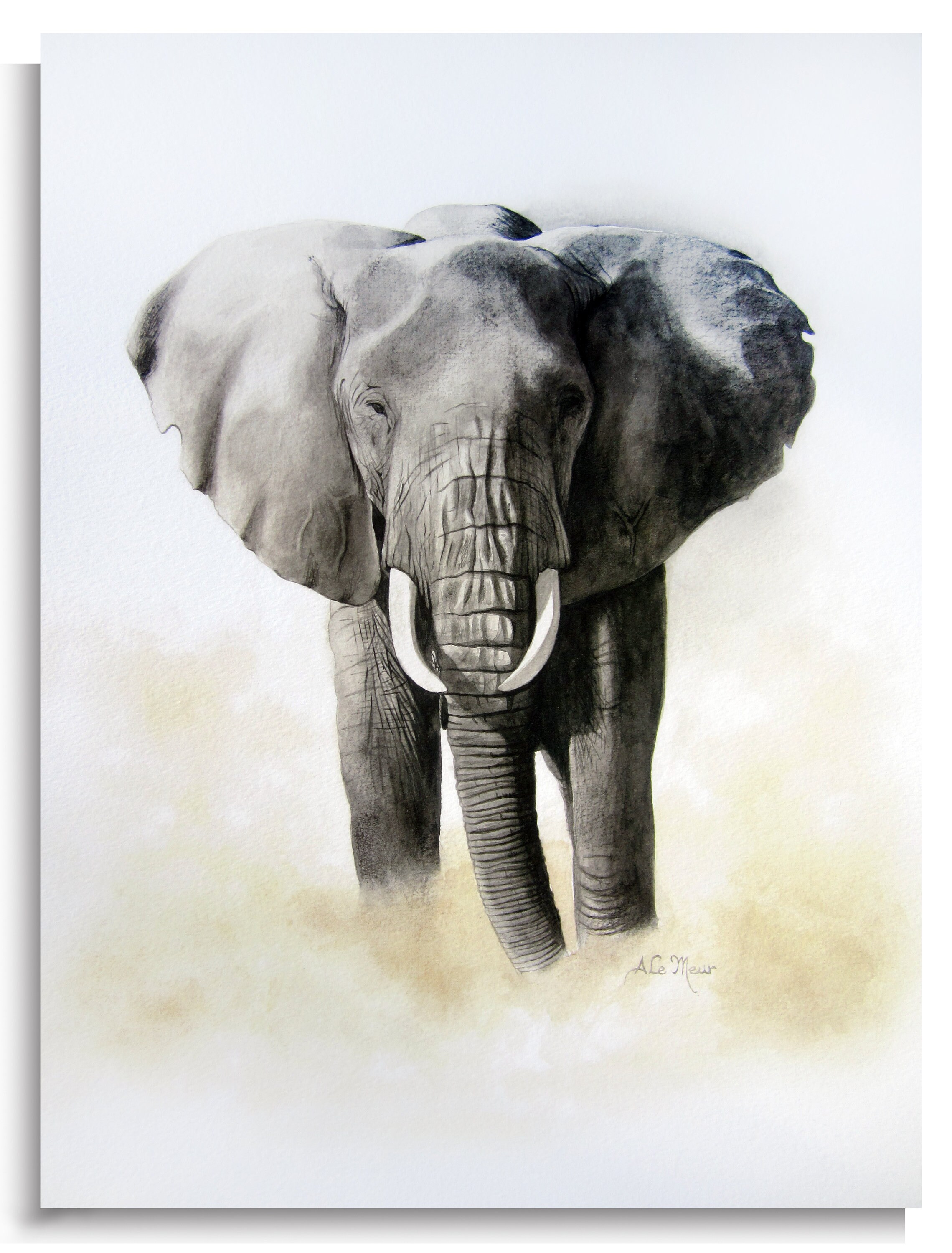 Reproduction d'art Eléphant R15