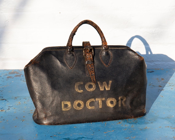 Hand-painted antique cow doctor bag - image 2