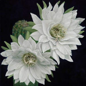 The Queen of the Night. Canvas print of an award winning oil painting