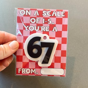 May include: A greeting card with a pink and red checkered background. The card reads "ON A SCALE OF 1-5, YOU'RE A 67" with a black and white keychain of the number 67. The bottom of the card has a blank space that says "FROM,"