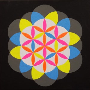 May include: A colorful geometric design with overlapping circles in shades of yellow, orange, pink, blue, and gray on a black background.