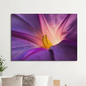 Purple Morning Glory Macro Art – Floral Canvas, Rolled Print or Peel & Stick. MG013