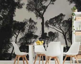 Italian trees wallpaper mural, Black and white photo of trees in Rome for a large wall decoration. Tree mural, Peel & Stick. MG078