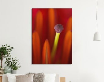 Oriental Lily canvas print, Red Lily flower wall decor, Macro photography, Nature wall art, Floral print. MW019