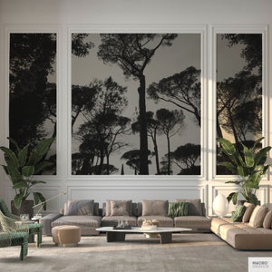 Italian trees wallpaper mural, Black and white photo of trees in Rome for a large wall decoration. Tree mural, Peel & Stick. MG078 image 3