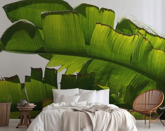 Banana leaf wallpaper mural, Peel and Stick tropical wallpaper for bedroom decor or hotel decoration, Beach house wall art. MG047