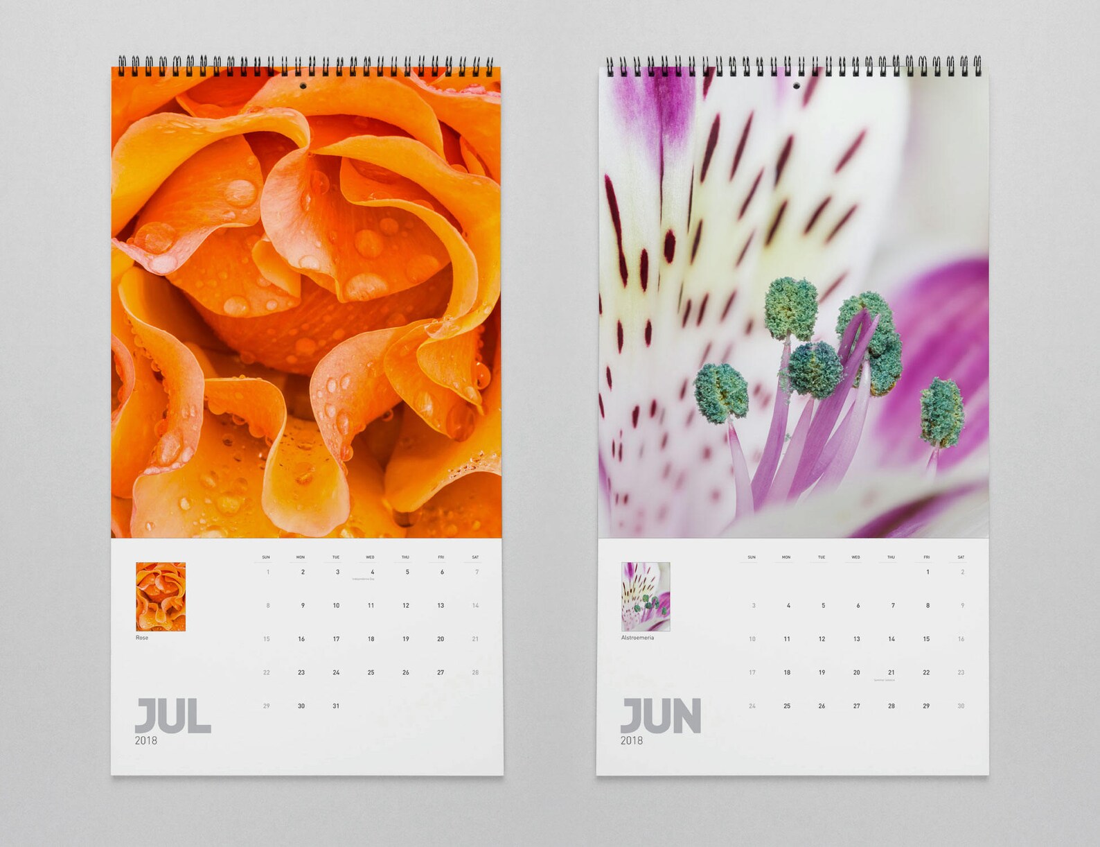 Flower Photography Wall Calendar 2023 Macro Photos Calendar - Etsy UK