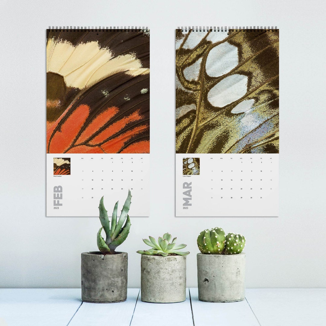 Butterfly Wings 2024 Calendar, Closeup Photography of Butterflies