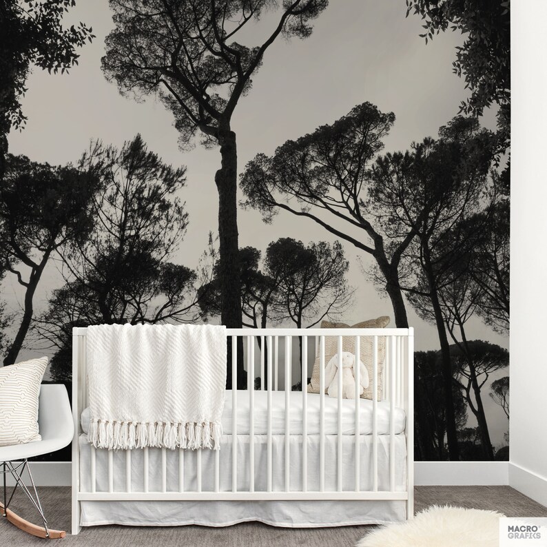 Italian trees wallpaper mural, Black and white photo of trees in Rome for a large wall decoration. Tree mural, Peel & Stick. MG078 image 6
