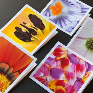 Cartoline d'auguri floreali, Fotografia Macro, cartoline con buste, 5 carte vuoto impostato, articoli di carta, carte di fiori