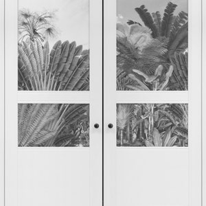 Vintage illustration wall mural, Self adhesive Tropical wallpaper, Black and white wall decor, Large wall art for a Tropical decor. SP057B image 4