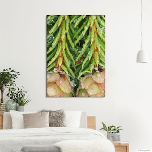 Impresión mural de pícea de Noruega, arte de piñas sobre lienzo claro, decoración de pared natural, macrofotografía, regalos para amantes de las plantas. MW015