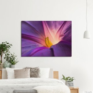 Bindweed Purple flower canvas print, Floral canvas, Office decoration, Flower photography, Large print for hotel decor. MG013 image 1