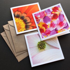 Fiore foto Cards, biglietti d'auguri in bianco, Macrofotografia, natura arte e regalo per lei, cartoline con buste, merci di carta