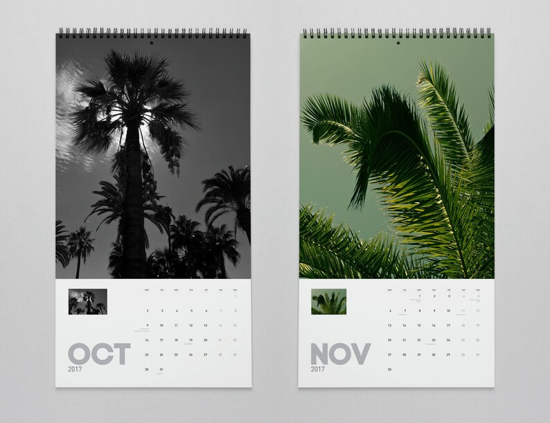 Palm Tree Calendar 2020 Tropical Calendar Wall Calendars Etsy