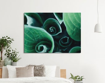 Canvas Print Hosta Leaves, Tropical wall print, Nature decoration, Leaves wall art for home, shop or hotel decor. UL021