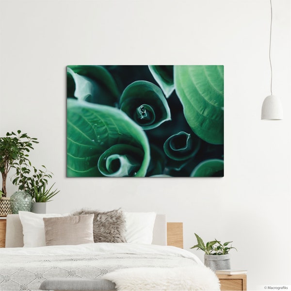 Canvas Print Hosta Leaves, Tropical wall print, Nature decoration, Leaves wall art for home, shop or hotel decor. UL021