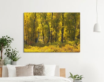 Autumn decor canvas prints, Cottonwood trees fine art photography, Grand Teton wall art, Wyoming decor. MW002