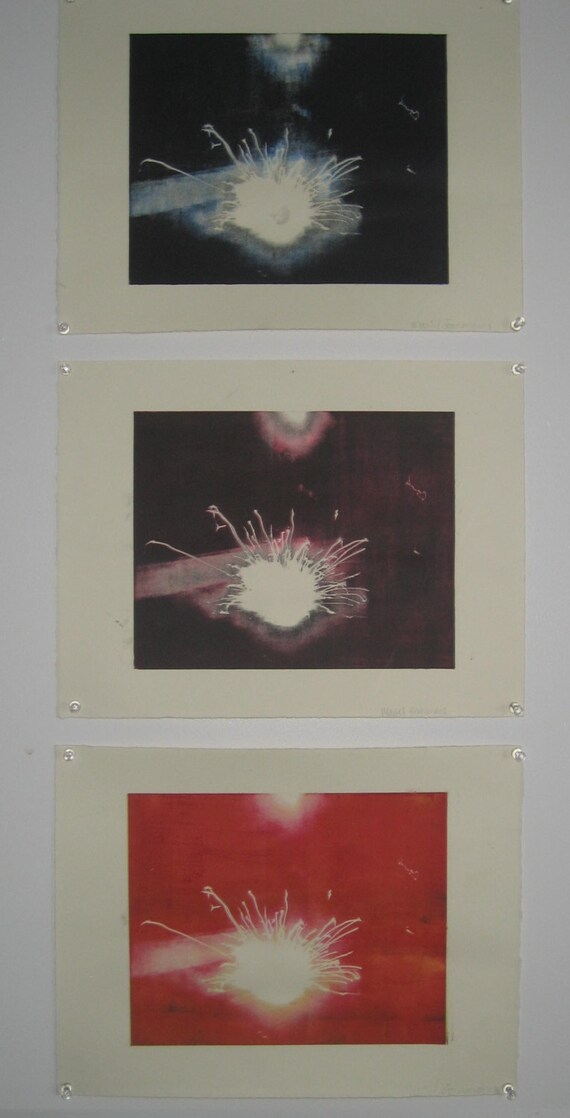 Luminescense