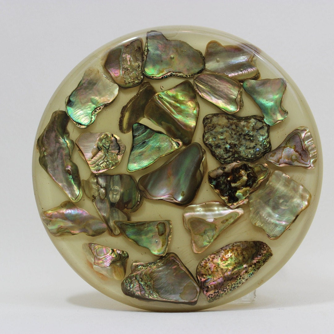 Abalone Shell Trivet Acrylic Abalone Hot Plate Boho Etsy
